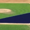Budget 🔔 FieldSaver Mesh Infield Protector VCP17x12 Armor Mesh, 20'x24'x64' Royal ✔️