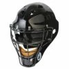 Best reviews of 🎁 Pro Nine Adult Hockey Style Umpire Helmet Black 😍