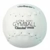 Deals 🔔 deBeer 16" Clincher Softie XF16 Gymballs, dz 👏