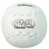 Budget 🔥 deBeer 14" Clincher Softie XF14 Gymballs, dz 🎁