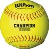 Cheapest 🌟 Wilson 11", 47/300 ASA Synthetic Fastpitch 🥎 Softballs, WTA9306BASA-LOW, dz 👍