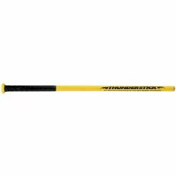 Best reviews of ⌛ Easton ADULT Thunderstick Training Bat, T10 ✨
